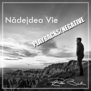 Ruben Birle - Nadejdea Vie (Playbacks Negative) (2016)