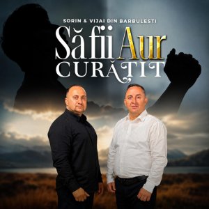 Vijai Din Barbulesti - Să Fii Aur Curățit