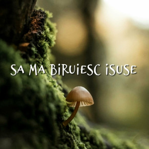 Muzica Crestina Noua - Sa Ma Biruiesc Isuse (2024)