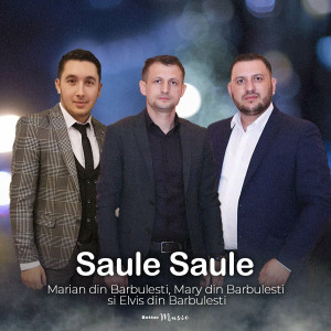 Marian din Barbulesti - Saule Saule (2022)