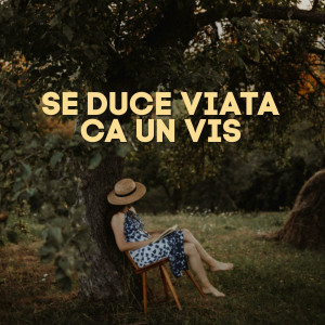 Muzica Crestina Noua - Se Duce Viata Ca Un Vis (2024)