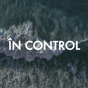 Silviu Winter - În Control (2017)