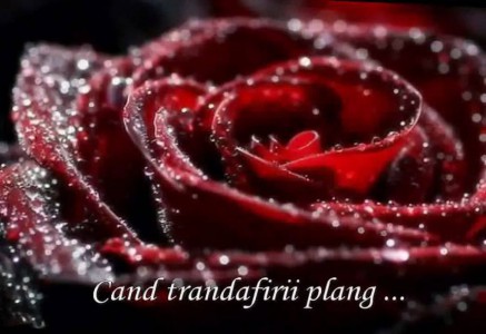 Simona si Relu Bahnaru - Cand Trandafirii Plang