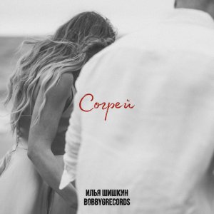Илья Шишкин - Согрей