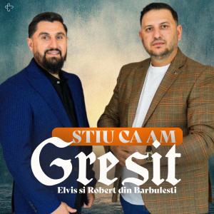 Elvis din Barbulesti - Știu Ca Am Greșit (2025)