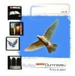 Suflet Pentru Dumnezeu - Print al pacii Negative Vol.2