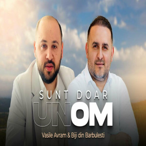 Vasile Avram - Sunt Doar Un Om (2024)