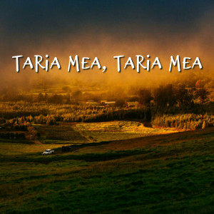 Muzica Crestina Noua - Taria Mea Taria Mea (2024)