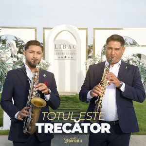 Vasile Mocanu - Totul Este Trecător (2023)
