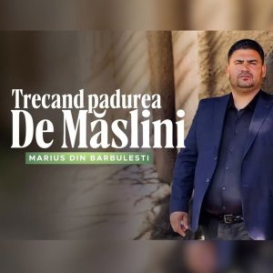 Marius Din Barbulesti - Trecand Padurea De Maslini
