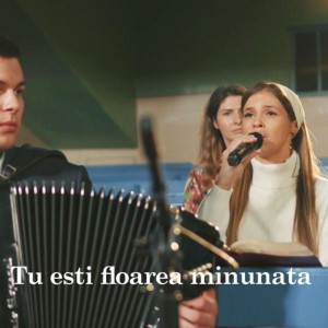 Gabriel Gorcea si Prietenii - Tu Esti Floarea Minunata (2025)