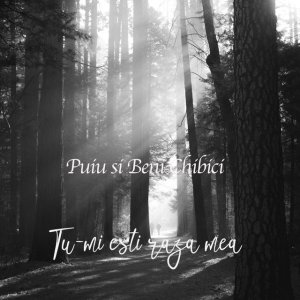 Beni Chibici - Tu-Mi Esti Raza Mea