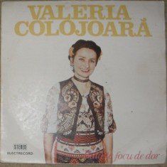 Valeria Colojoara - Volumul.2 - Un singur dor