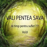 Vali Pentea Sava - Ai timp pentru suflet Vol.8 (2017)