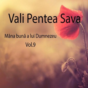 Vali Pentea Sava - Mâna bună a lui Dumnezeu Vol.9 (2017)
