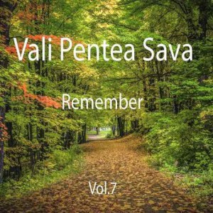 Vali Pentea Sava - Remember Vol.7 (2017)