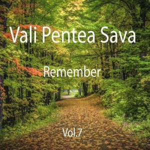 Vali Pentea Sava - Remember (Vol.7)