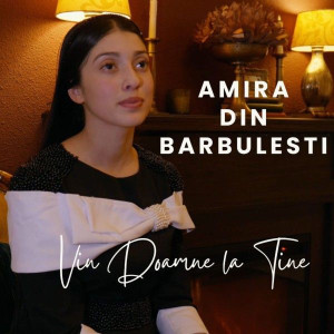 Amira Din Barbulesti - Vin Doamne La Tine (2026)