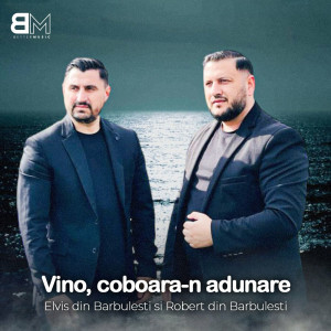 Elvis din Barbulesti - Vino, Coboară-N Adunare (2023)