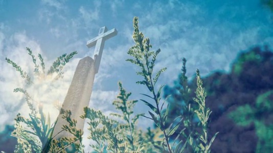 Viorica - La Tine vin