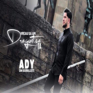 Ady din Barbulesti - Vreau Sa Am Dragostea Ta (2025)