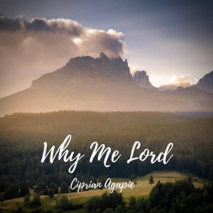 Ciprian Agapie - Why Me Lord