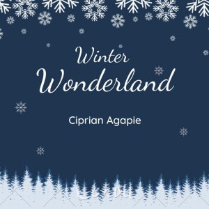 Ciprian Agapie - Winter Wonderland