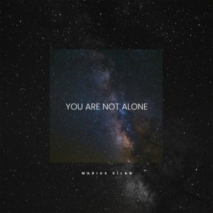 Marius Vilan - You Are Not Alone