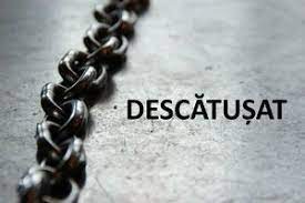 Descatusat poster