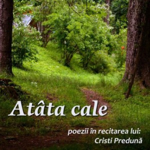 Cristinel Preduna poster