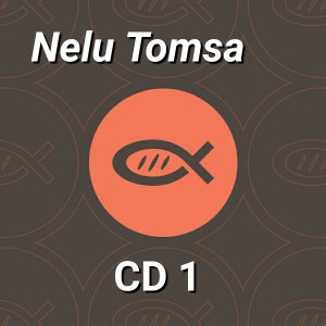 Nelu Tomsa poster